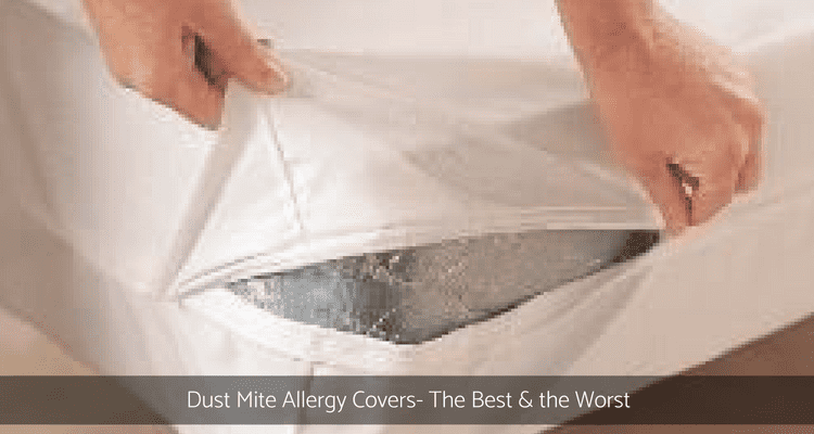 https://www.miteyfresh.com.au/wp-content/uploads/2013/06/Dust-Mite-Allergy-Covers.png